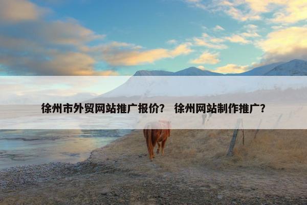 徐州市外贸网站推广报价？ 徐州网站制作推广？