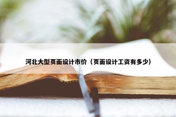 河北大型页面设计市价（页面设计工资有多少）