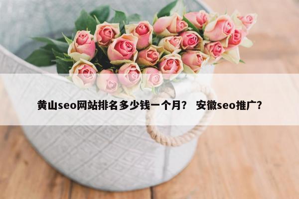 黄山seo网站排名多少钱一个月？ 安徽seo推广？