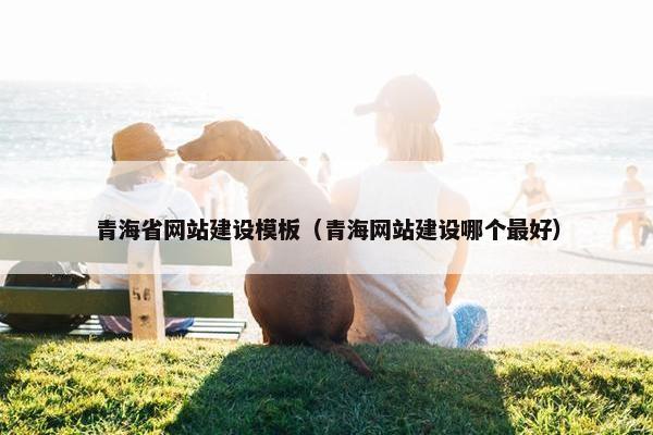 青海省网站建设模板（青海网站建设哪个最好）