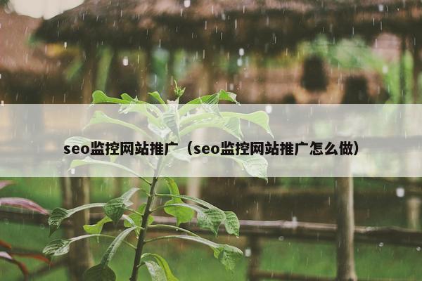 seo监控网站推广（seo监控网站推广怎么做）