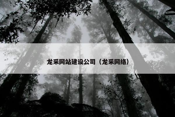 龙采网站建设公司（龙采网络）