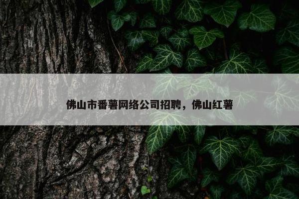 佛山市番薯网络公司招聘，佛山红薯