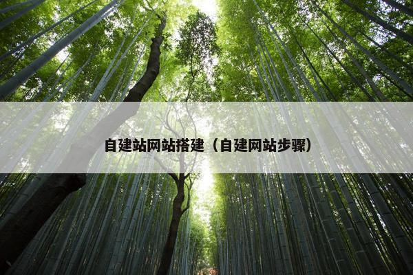 自建站网站搭建（自建网站步骤）