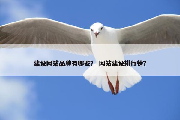 建设网站品牌有哪些？ 网站建设排行榜？