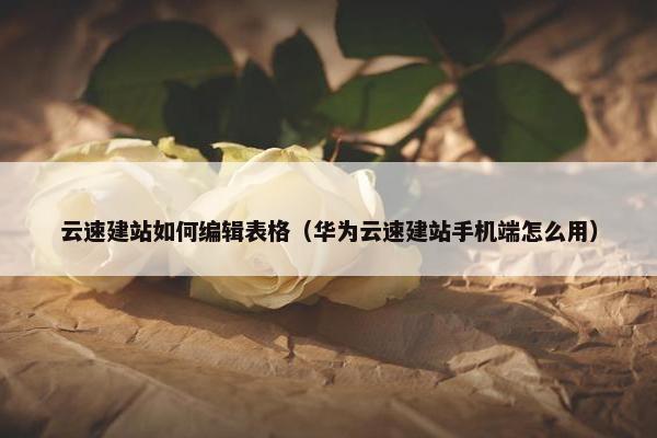 云速建站如何编辑表格（华为云速建站手机端怎么用）