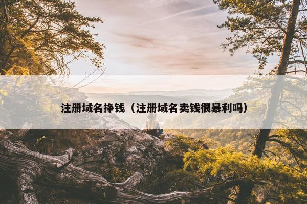 注册域名挣钱（注册域名卖钱很暴利吗）