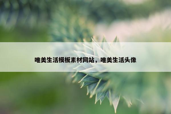 唯美生活模板素材网站，唯美生活头像