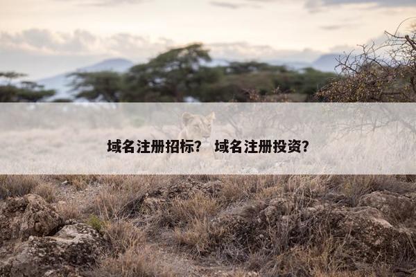 域名注册招标？ 域名注册投资？