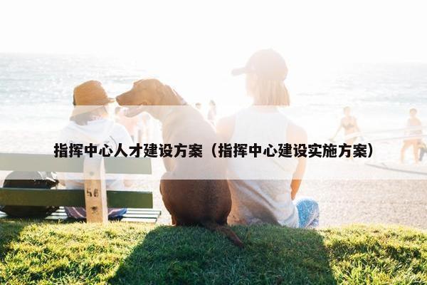 指挥中心人才建设方案（指挥中心建设实施方案）