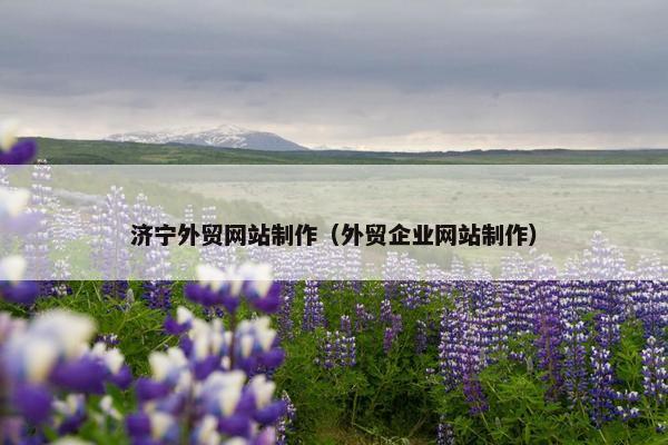 济宁外贸网站制作（外贸企业网站制作）