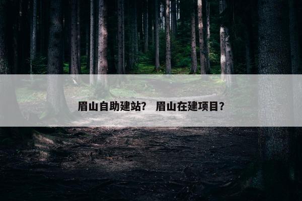 眉山自助建站？ 眉山在建项目？