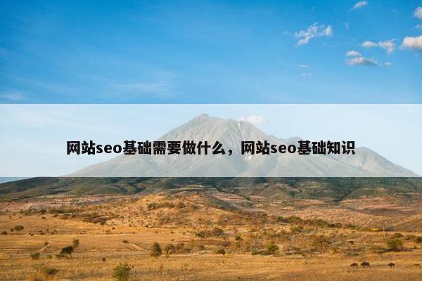 网站seo基础需要做什么，网站seo基础知识