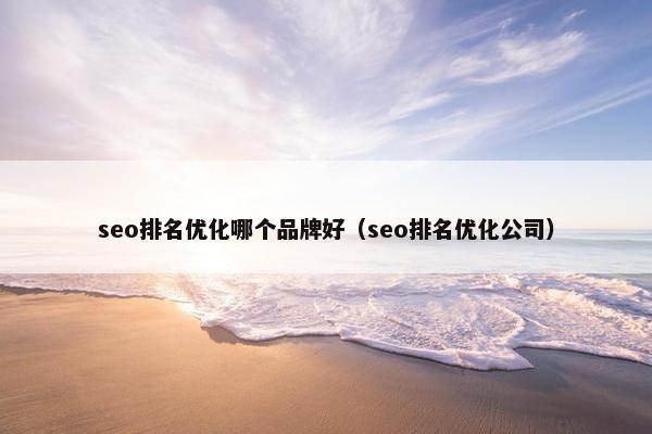 seo排名优化哪个品牌好（seo排名优化公司）