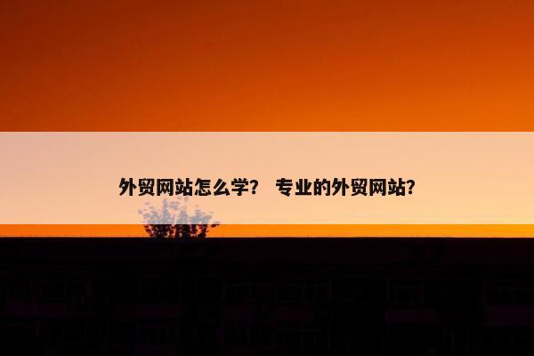 外贸网站怎么学？ 专业的外贸网站？