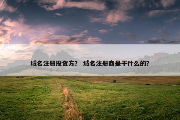 域名注册投资方？ 域名注册商是干什么的？