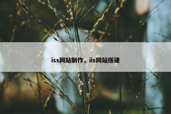 iss网站制作，iis网站搭建