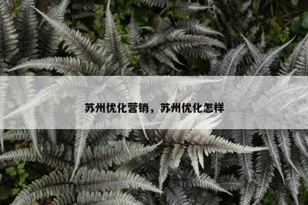 苏州优化营销，苏州优化怎样