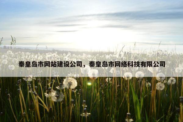 秦皇岛市网站建设公司，秦皇岛市网络科技有限公司