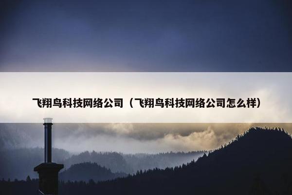 飞翔鸟科技网络公司（飞翔鸟科技网络公司怎么样）