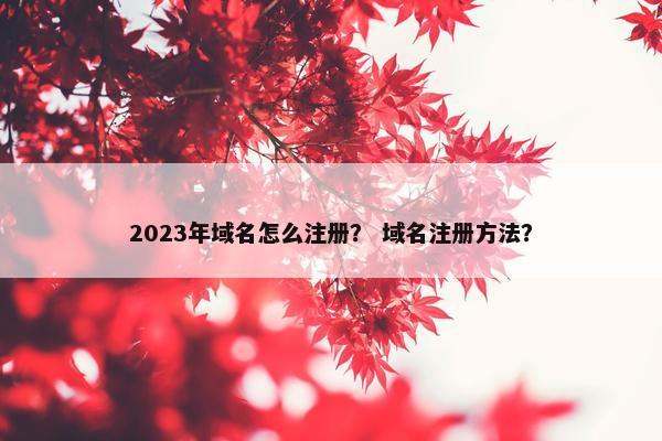 2023年域名怎么注册？ 域名注册方法？
