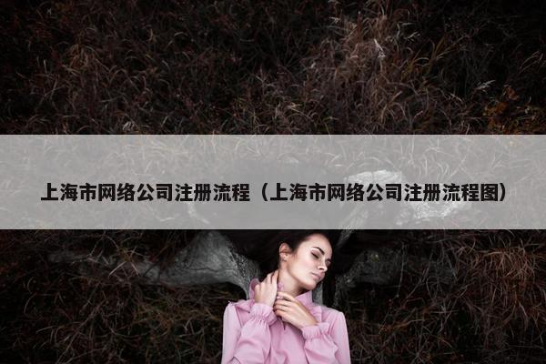 上海市网络公司注册流程（上海市网络公司注册流程图）