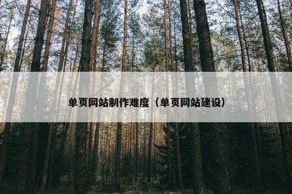 单页网站制作难度（单页网站建设）