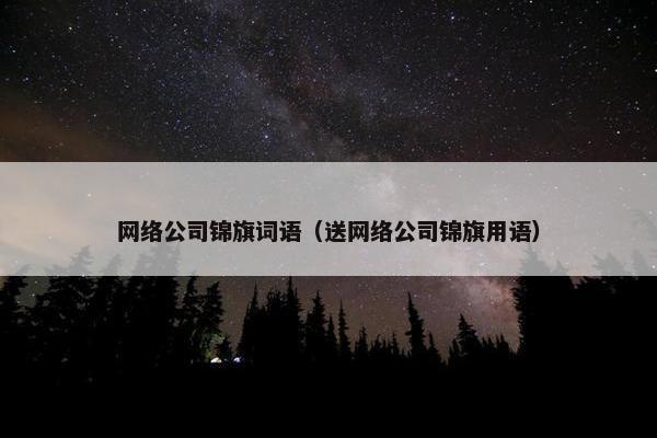 网络公司锦旗词语（送网络公司锦旗用语）