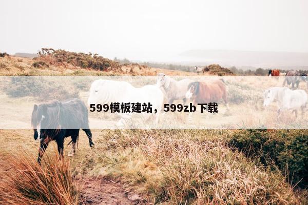 599模板建站，599zb下载