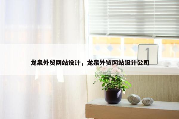 龙泉外贸网站设计，龙泉外贸网站设计公司