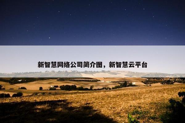 新智慧网络公司简介图，新智慧云平台