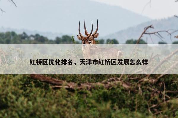 红桥区优化排名，天津市红桥区发展怎么样