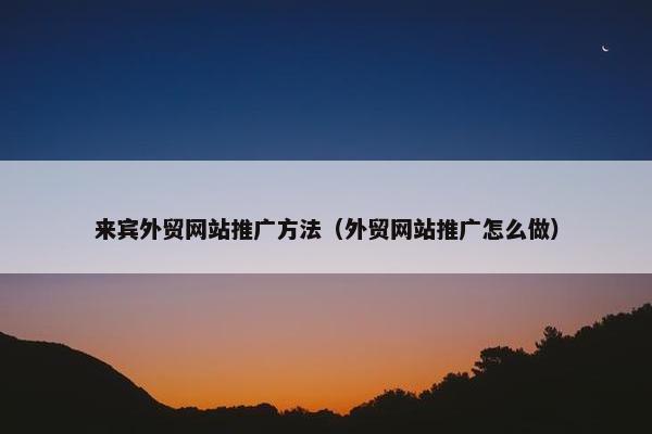 来宾外贸网站推广方法（外贸网站推广怎么做）