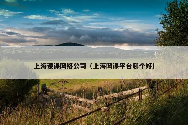 上海课课网络公司（上海网课平台哪个好）