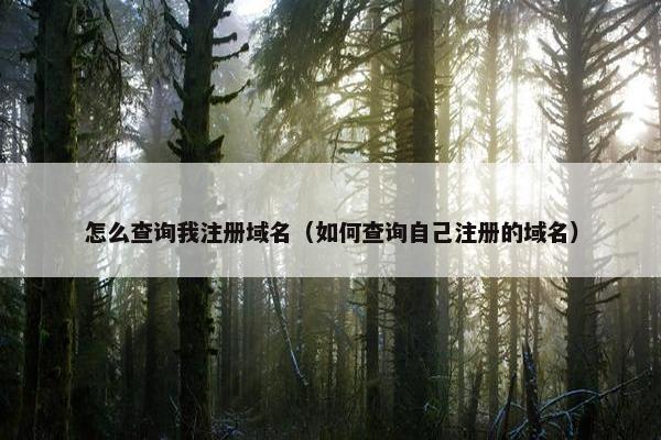 怎么查询我注册域名（如何查询自己注册的域名）
