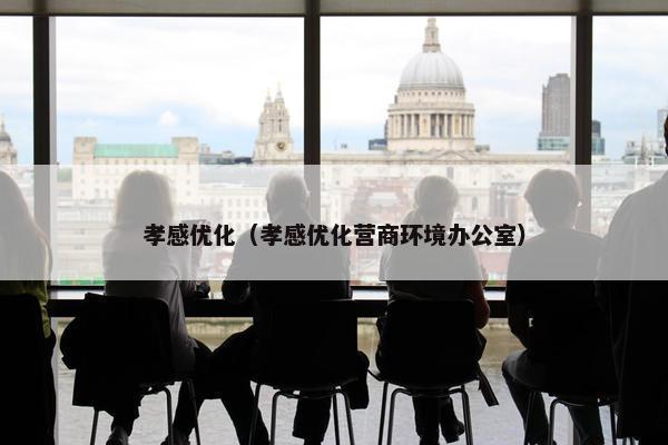 孝感优化（孝感优化营商环境办公室）