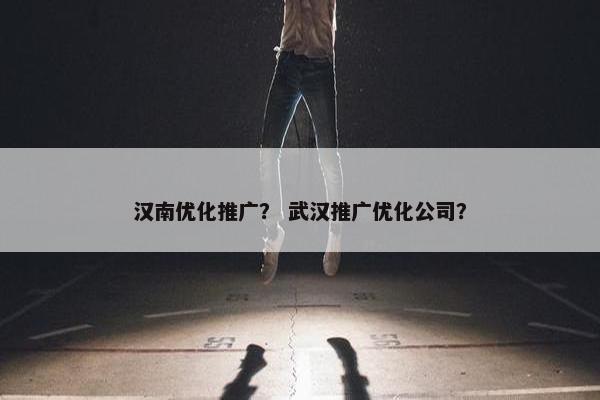 汉南优化推广？ 武汉推广优化公司？