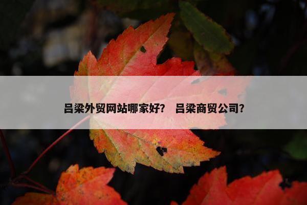 吕梁外贸网站哪家好？ 吕梁商贸公司？