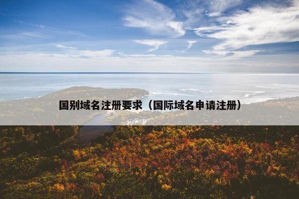 国别域名注册要求（国际域名申请注册）