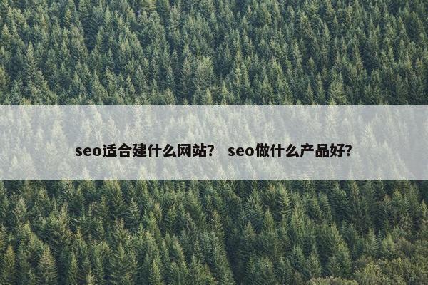 seo适合建什么网站？ seo做什么产品好？
