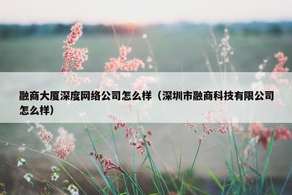融商大厦深度网络公司怎么样（深圳市融商科技有限公司怎么样）