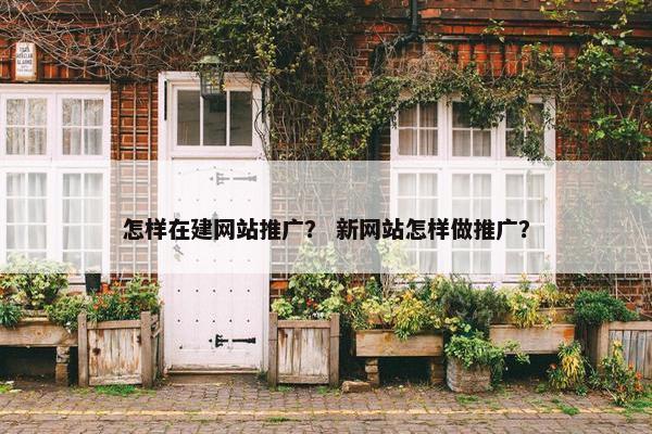 怎样在建网站推广？ 新网站怎样做推广？