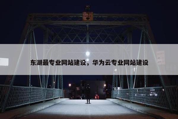 东湖最专业网站建设，华为云专业网站建设