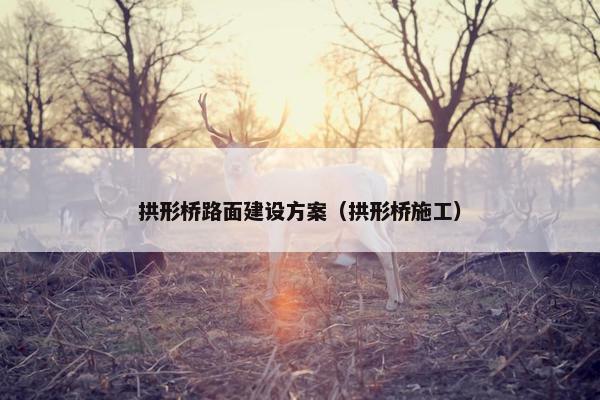 拱形桥路面建设方案（拱形桥施工）