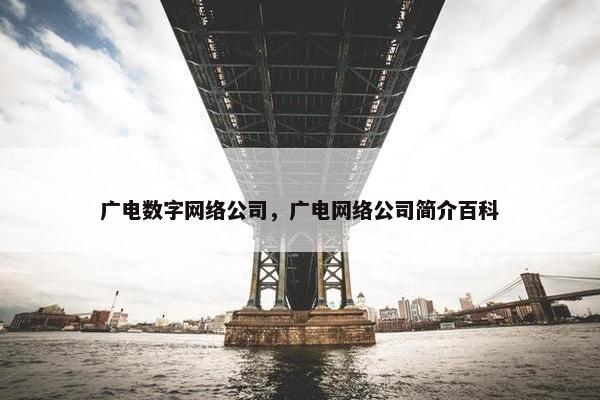 广电数字网络公司，广电网络公司简介百科