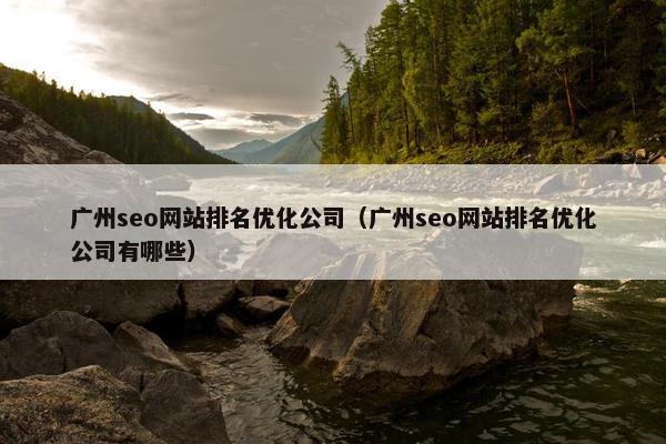 广州seo网站排名优化公司（广州seo网站排名优化公司有哪些）