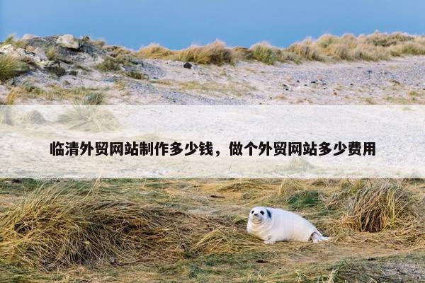 临清外贸网站制作多少钱，做个外贸网站多少费用