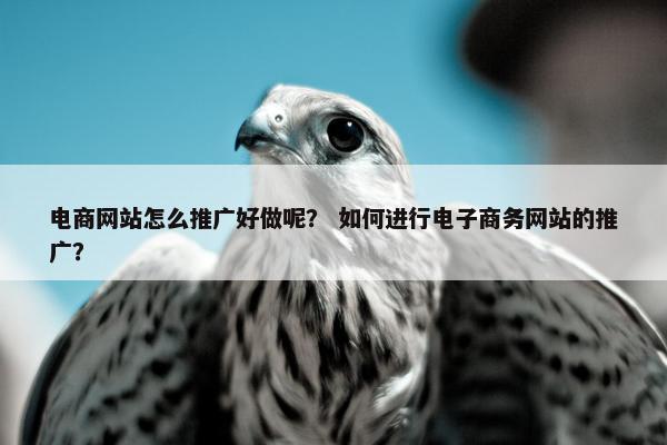 电商网站怎么推广好做呢？ 如何进行电子商务网站的推广？