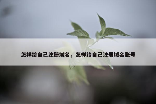 怎样给自己注册域名，怎样给自己注册域名账号