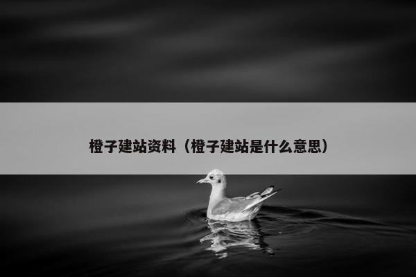 橙子建站资料（橙子建站是什么意思）